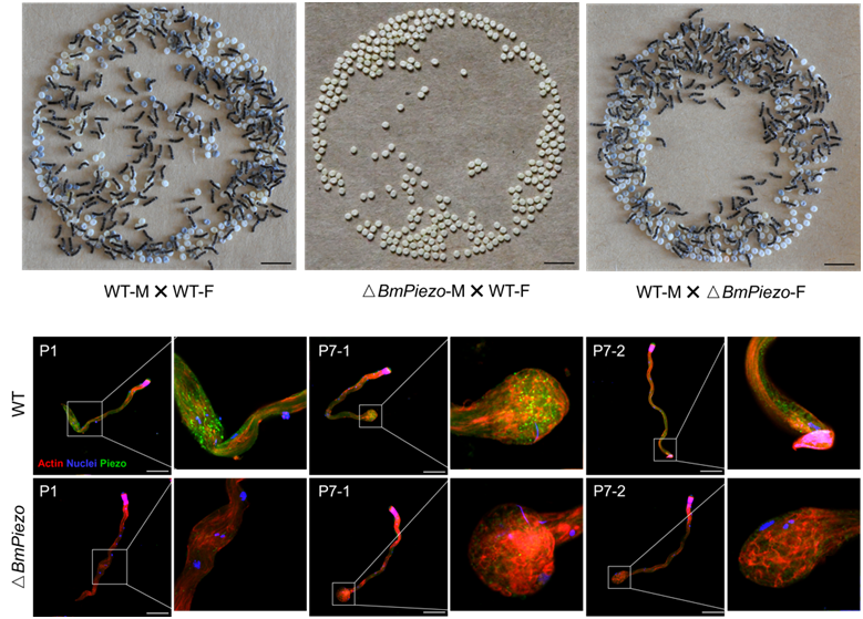 1723555735557315.png image.png