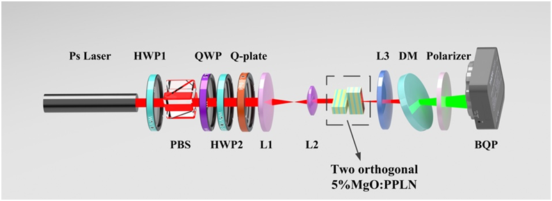 1723555976563882.png image.png