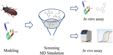 1723555899794055.png image.png