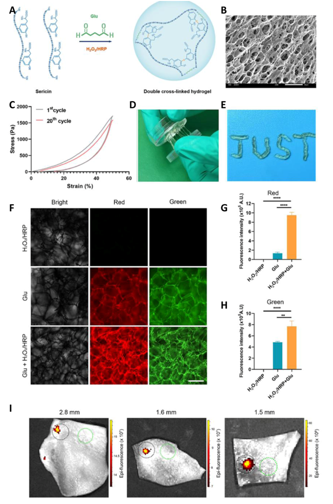 1723555776693389.png image.png