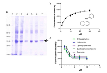 1723555921455213.png image.png