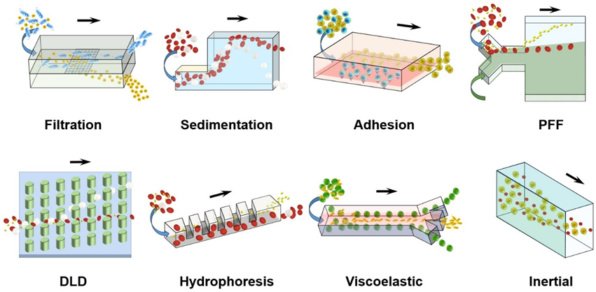 1723554938947892.png image.png