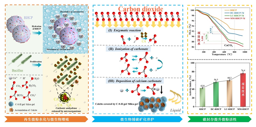 1723555662417576.png image.png